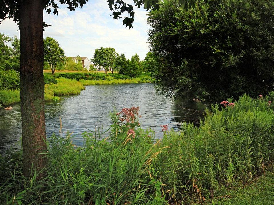 Sapphire Apartment Rentals Ramsey, MN Zillow