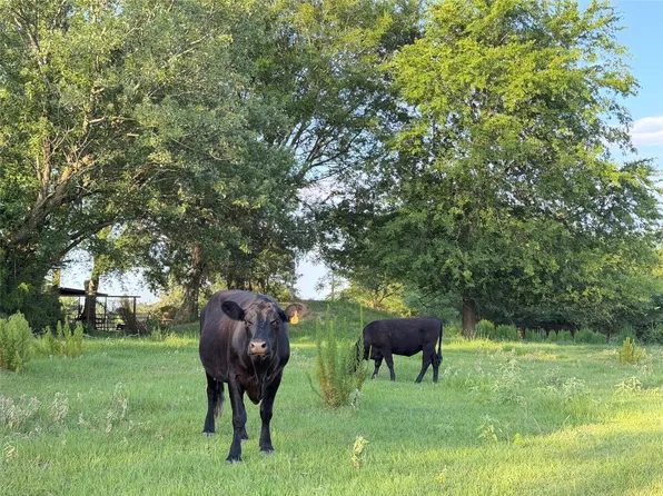 Tbd Cr 4260, Mount Pleasant, TX 75455