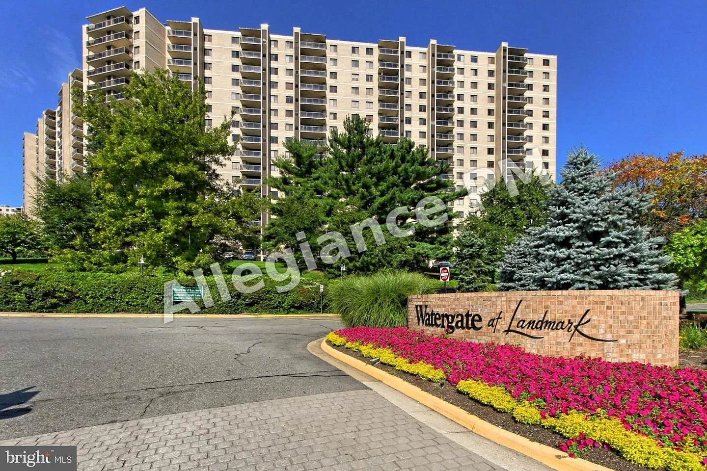 205 Yoakum Pkwy #906 — Photo 1