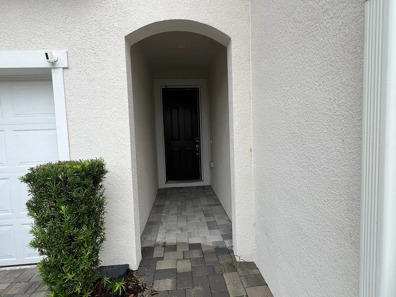 19431 Monarch Wind Way, Lutz, FL 33558 — Photo 4
