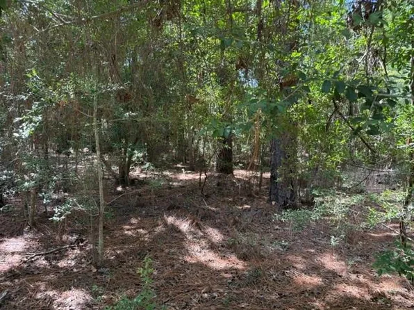 0 Twigwood Dr, Brookeland, TX 75931