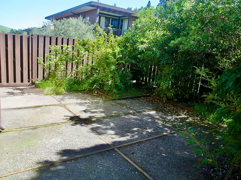 Yard