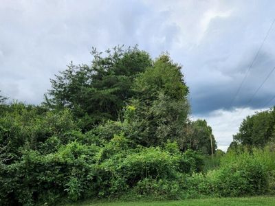 0 Pumpkin Ridge Rd, New Plymouth, OH, 45654