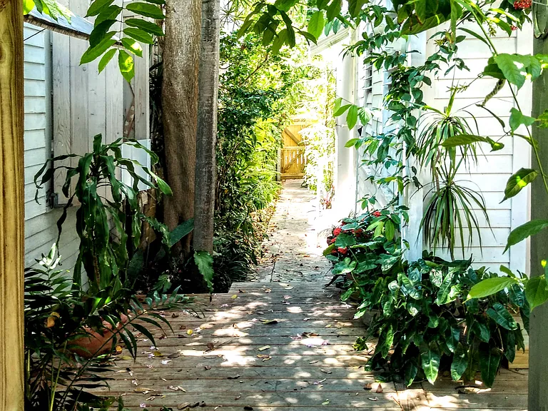 Virginia St — Photo 2