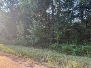 Richard St, Coldspring, TX 77331