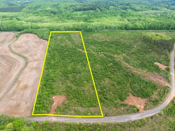 0 Young Rd Lot 1, Finger, TN 38334