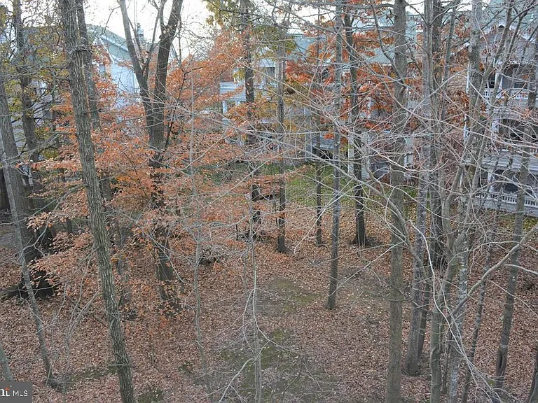13070 Autumn Woods Way #305 — Photo 7