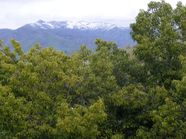 Millwood Dr, Badger, CA 93603