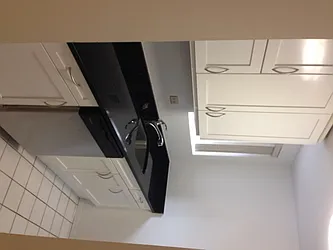 Rented by Furumoto Realty of New York City Inc