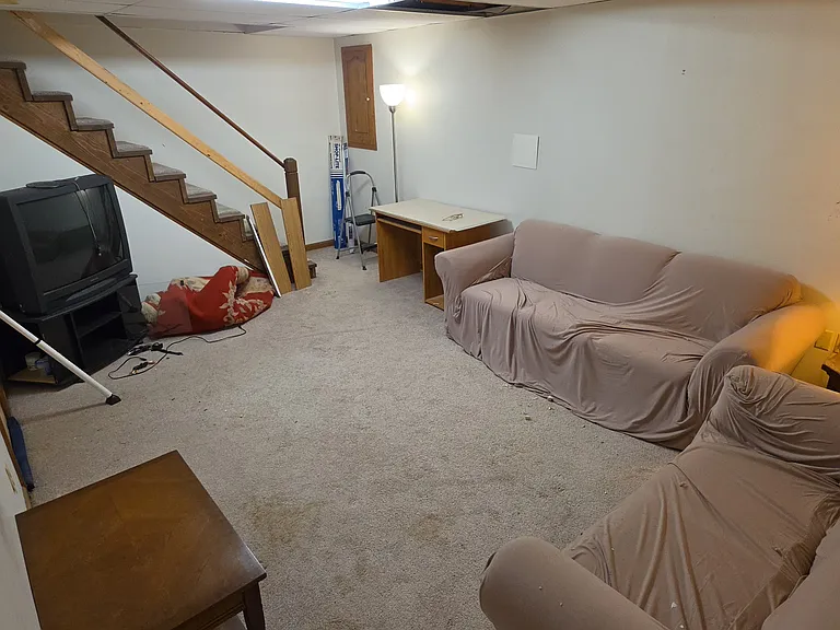 Basement Family Room