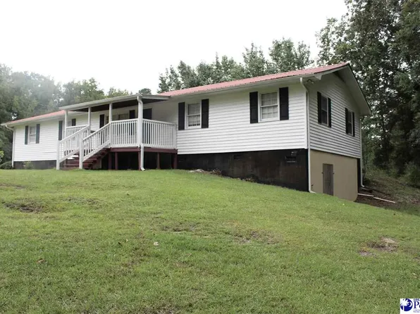 2607 Haire Town Rd, Wallace, SC 29596