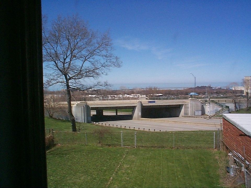 View from back porch