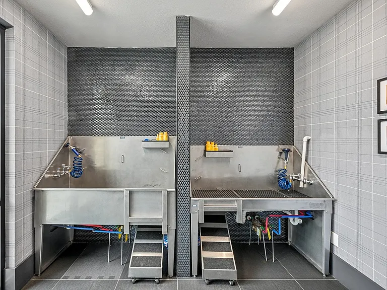 Pet Wash