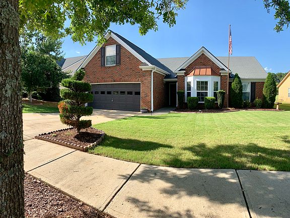 Yard professionally maintain