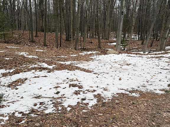 3rd image of W Fox Farm Rd