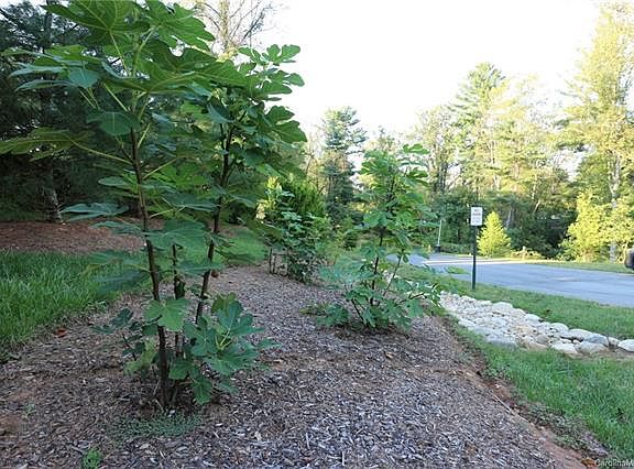 2nd image of 43 Shelburne Woods Dr