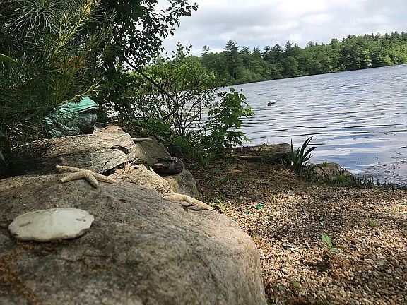 Private waterfront beach