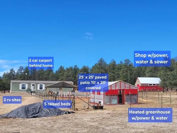 20106 Deer Path Cir Lot 60, Weston, CO 81091