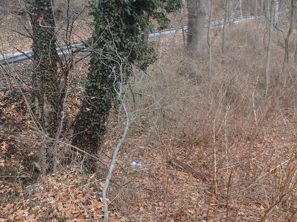 2nd image of 18 Millertown Rd