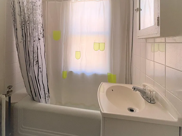 2231 Albert St #46 — Photo 3