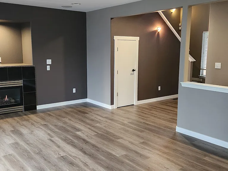 Living room and entry