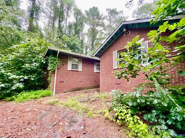 699 Carters Gin Rd, Toney, AL 35773