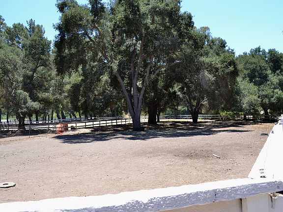 Arena