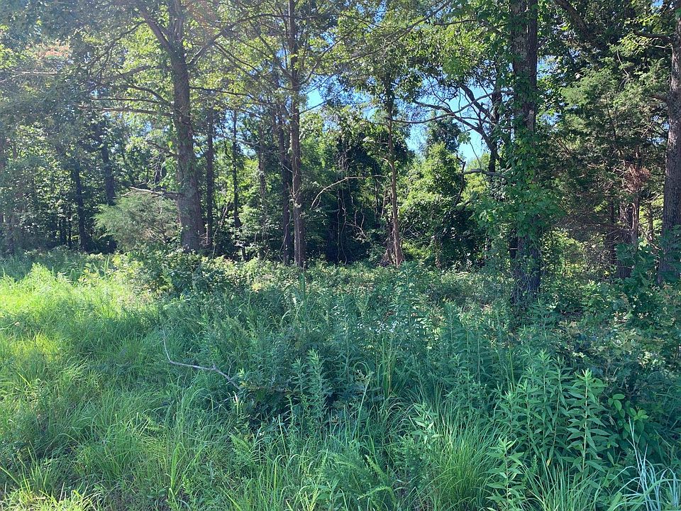 2nd image of 6 Middlefork Rd