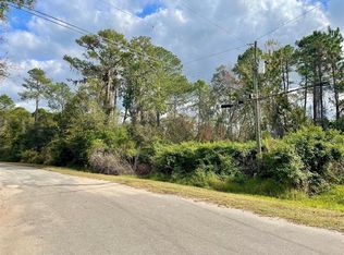 0 Fisher Run #1, Ocklawaha, FL 32179