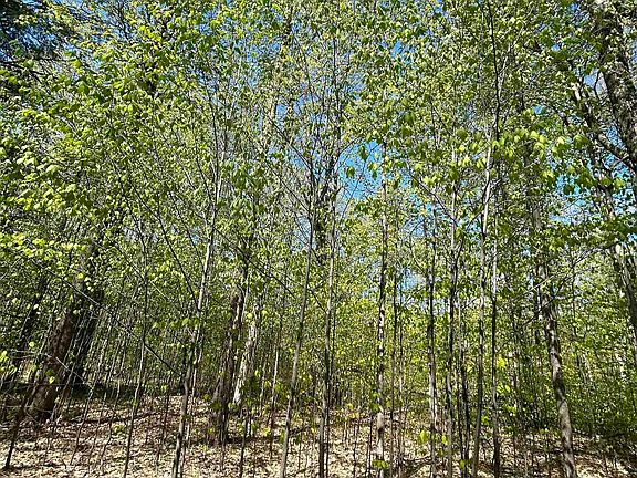 4th image of LOT 21 Beech Knoll Dr