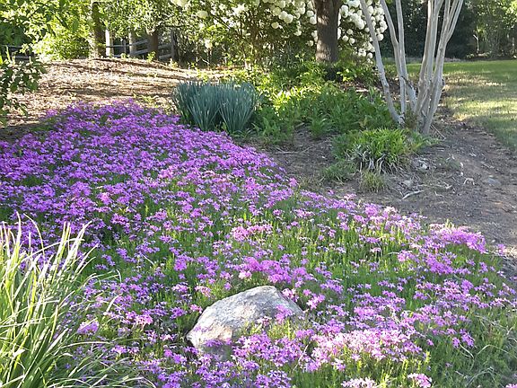 Nicely landscaped