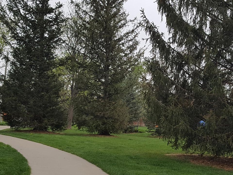 huge park 2 minutes walk
