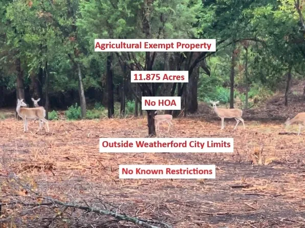 0 Pioneer Xing, Weatherford, TX 76088