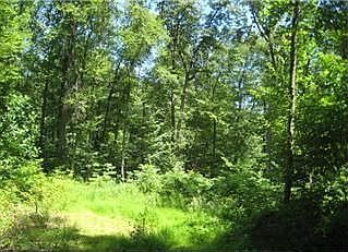 1st image of 28 Woods Ln