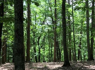 3185 Old Flat Branch Rd #2, Ellijay, GA 30540