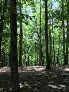 3185 Old Flat Branch Rd #2, Ellijay, GA, 30540
