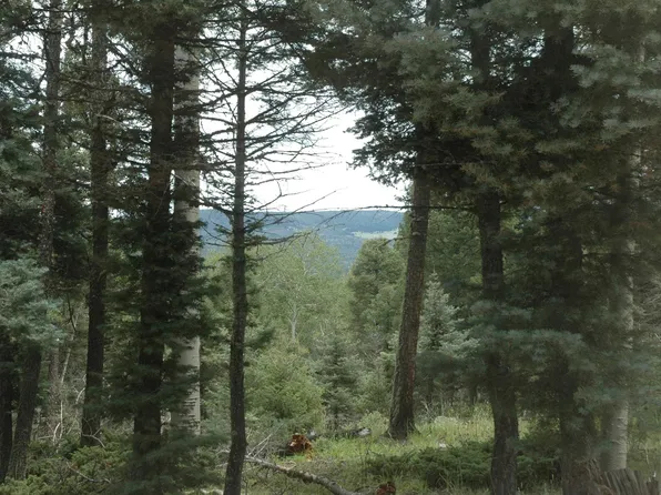 275 Vermejo Cir, Angel Fire, NM 87710