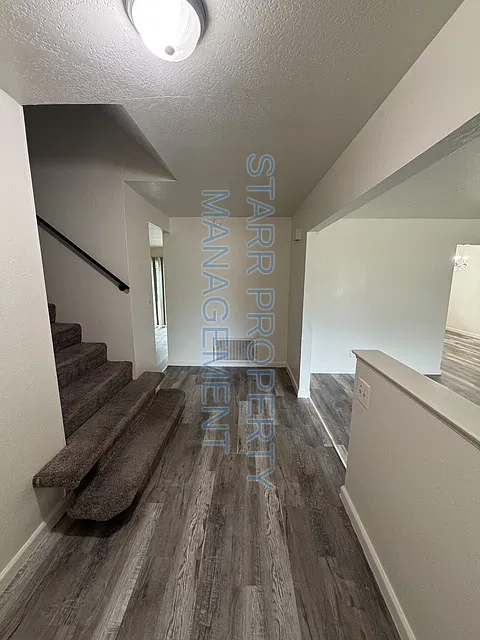 2382 Dario Cir. — Photo 3