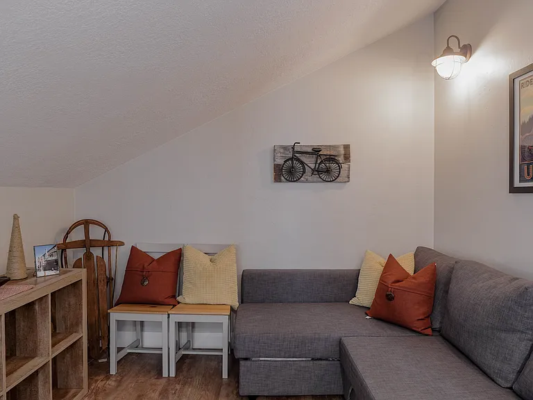 Loft pullout couch