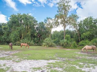 Walter Hunter Rd, Lithia, FL 33547