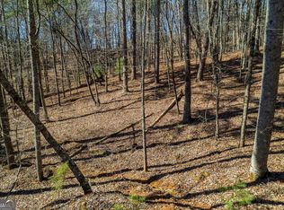 LOT 686 Julep Cir, Ellijay, GA 30540