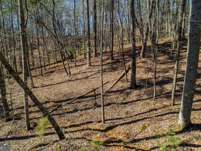 LOT 686 Julep Cir, Ellijay, GA, 30540