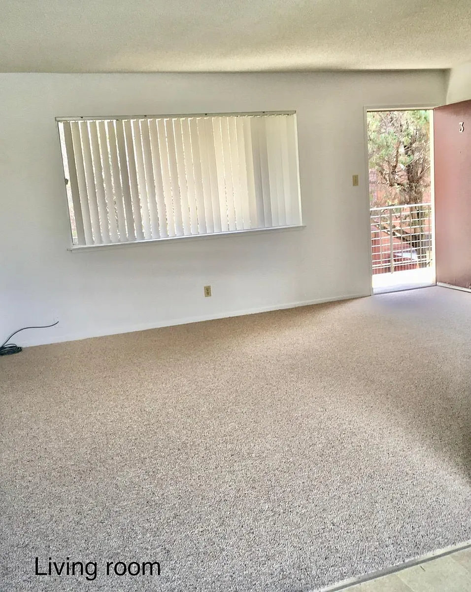 Living room and entrance view (from kitchen/dining) - 3424 Yosemite Ave #3