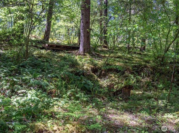 372 30 Craig Road, Packwood, WA 98361