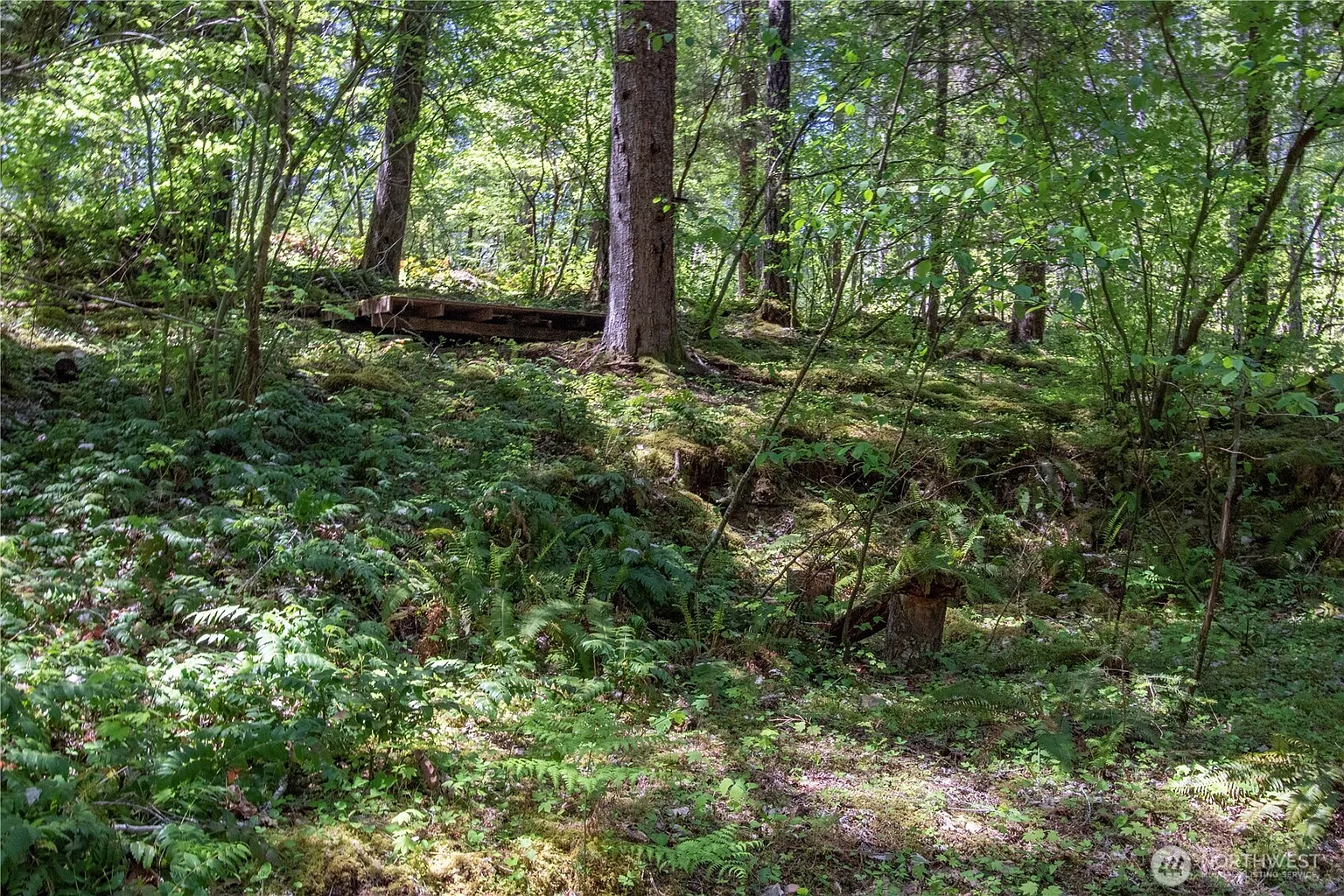 372 30 Craig Road photo 1