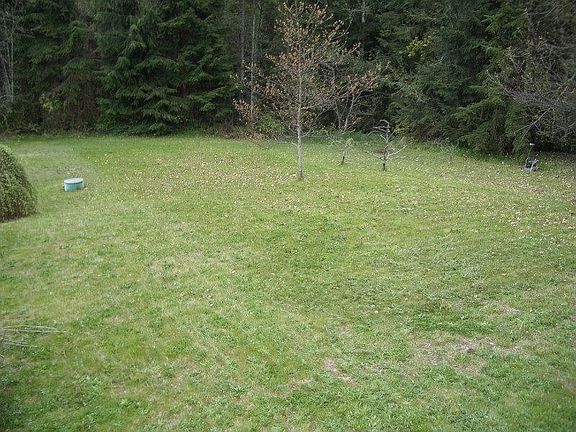 Fruit trees , ready for your organic garden
