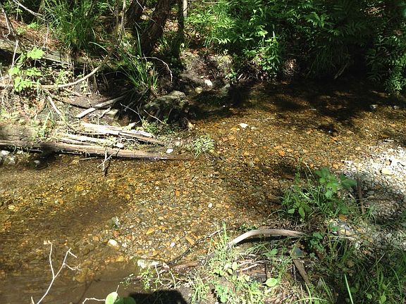 stream inlet on property