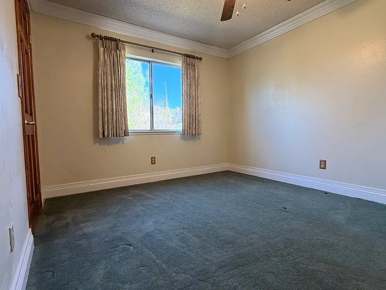 24118 Forsyte St — Photo 3