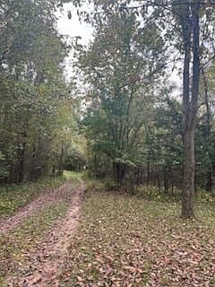 5th image of 10000 Teachout Rd