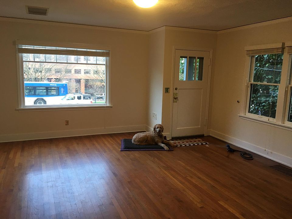 Living room (the dog is NOT included)